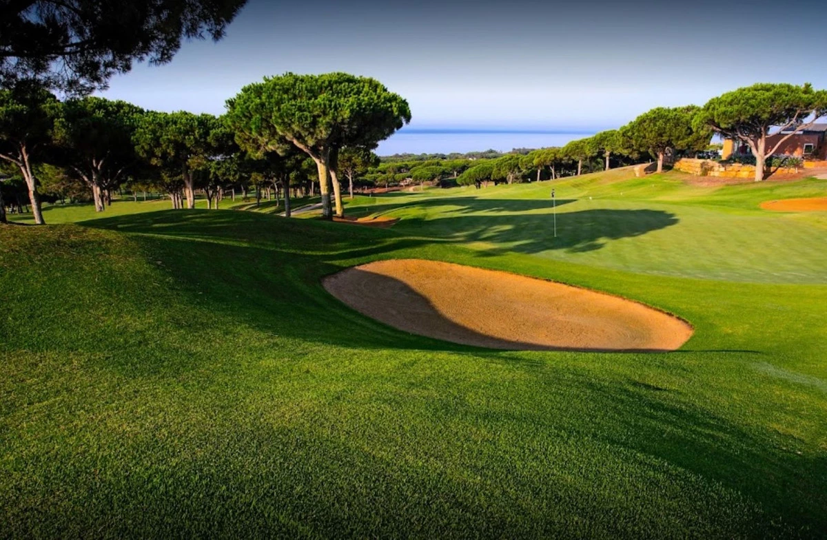 8-e64a9055bba3e77ac8aca3b893cdf826