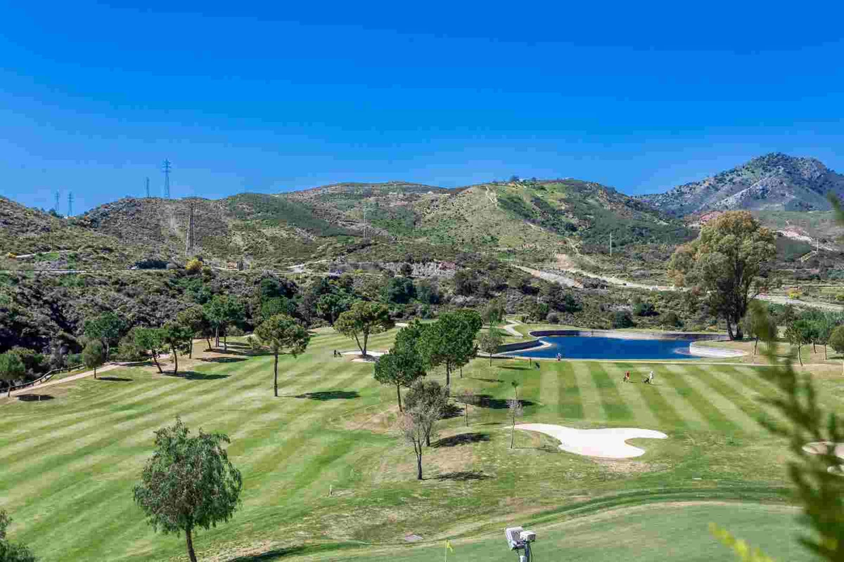 4-c23c0f86247804fa50226aecd8b0b2c8