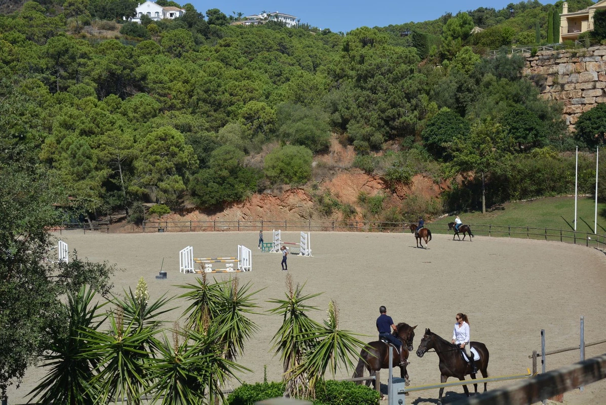 8-e64a9055bba3e77ac8aca3b893cdf826