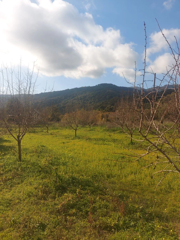 6-241328e1bcc9c0d8ce1222beb6c967a8