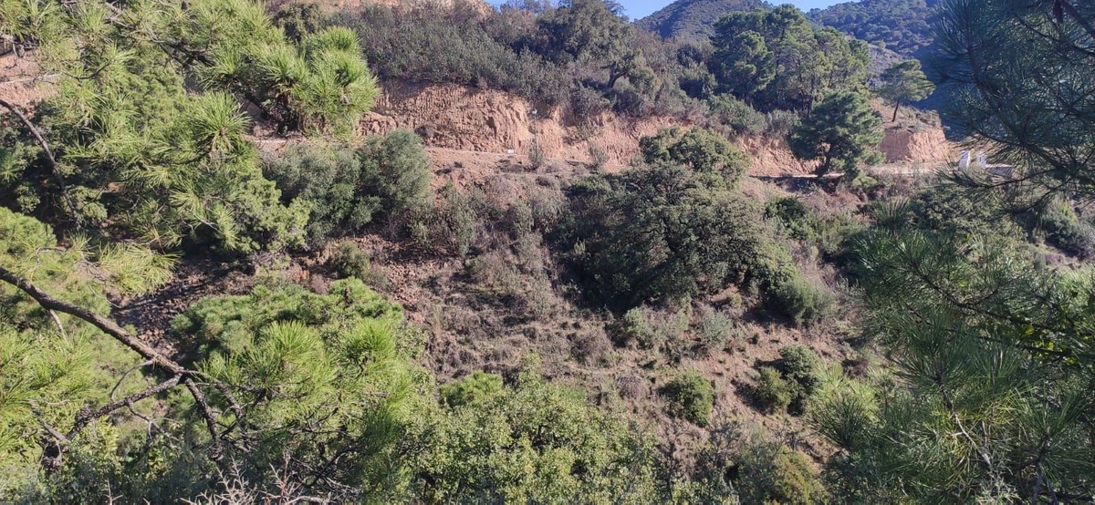 2-5bd7b9d04b45e33852eaf0ec6670150d