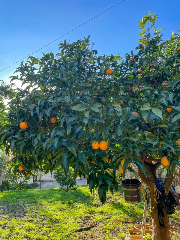 9-467d0cee5b725f3ef65f102a0c2e69c0