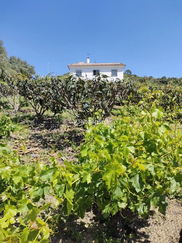 3-e898b2bb2a2fdfd06d2c39894dce8316