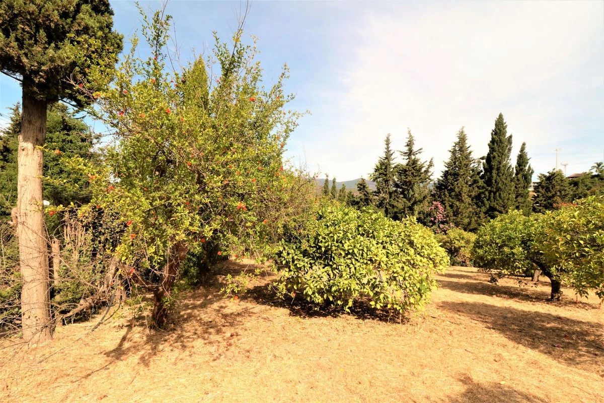 6-241328e1bcc9c0d8ce1222beb6c967a8