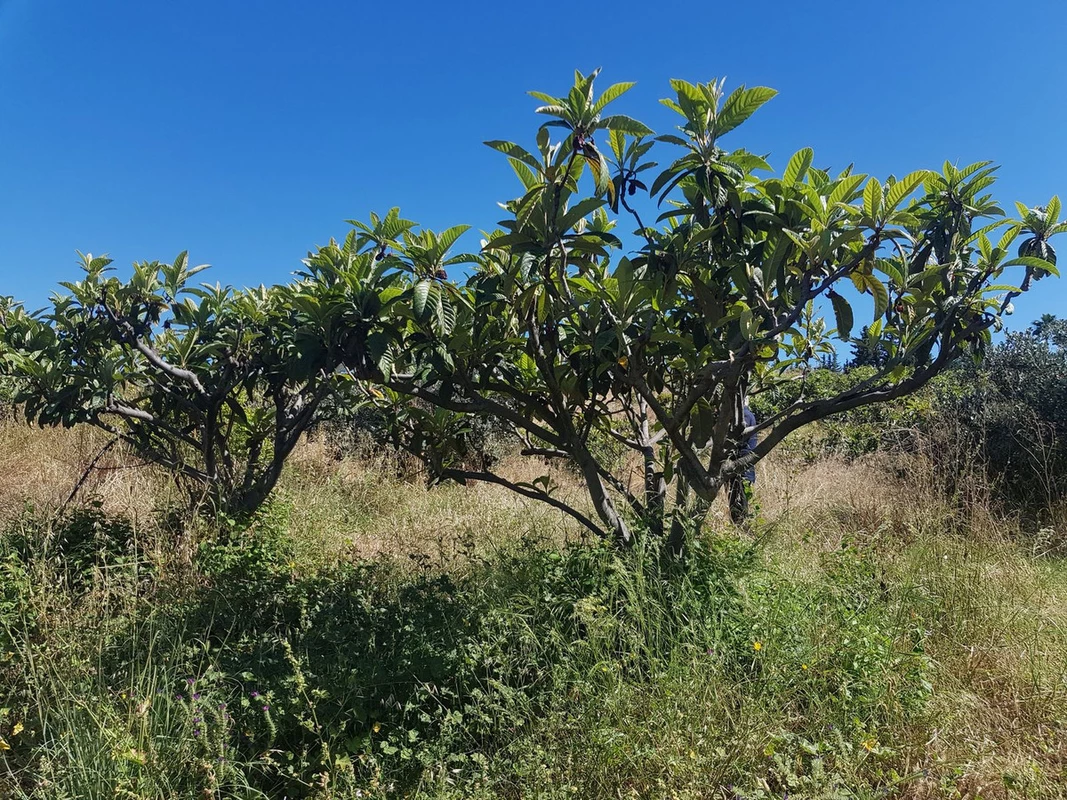 7-aa4cc561180b369757c0bb4af9886cd3