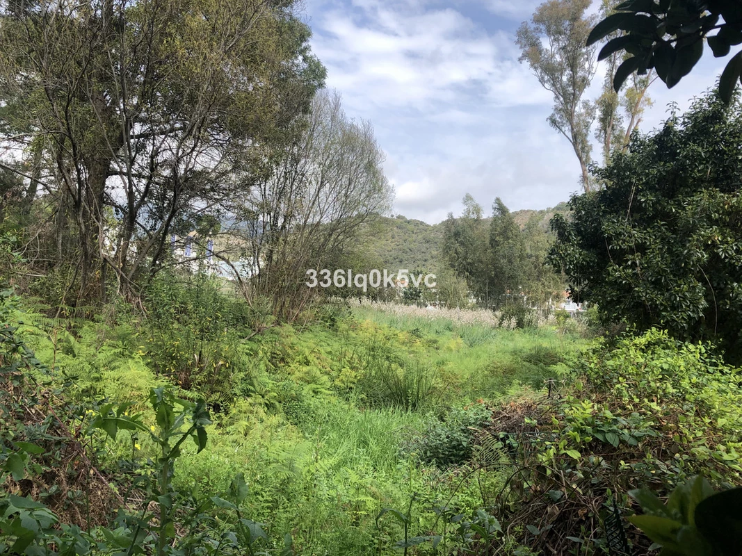 7-aa4cc561180b369757c0bb4af9886cd3