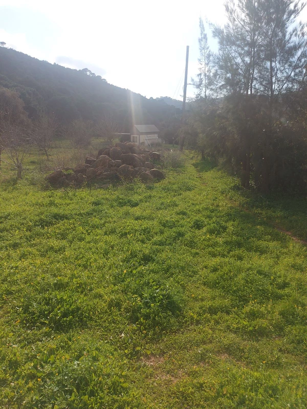 7-aa4cc561180b369757c0bb4af9886cd3