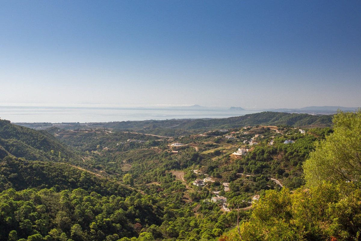 8-e64a9055bba3e77ac8aca3b893cdf826