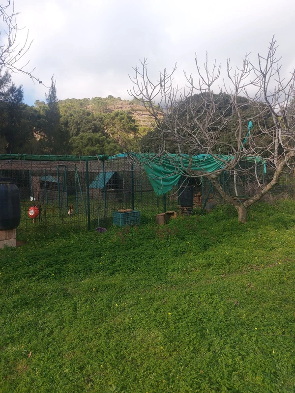 9-467d0cee5b725f3ef65f102a0c2e69c0