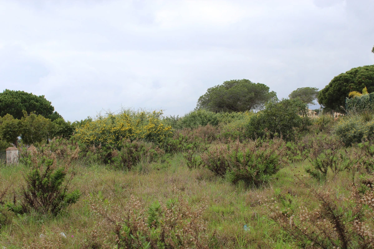 7-aa4cc561180b369757c0bb4af9886cd3