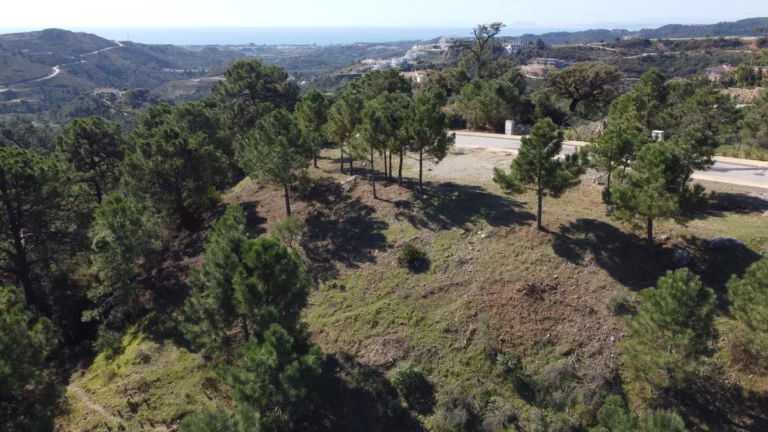 1-7980e48d732b6fc85c14b43b94d2aa54