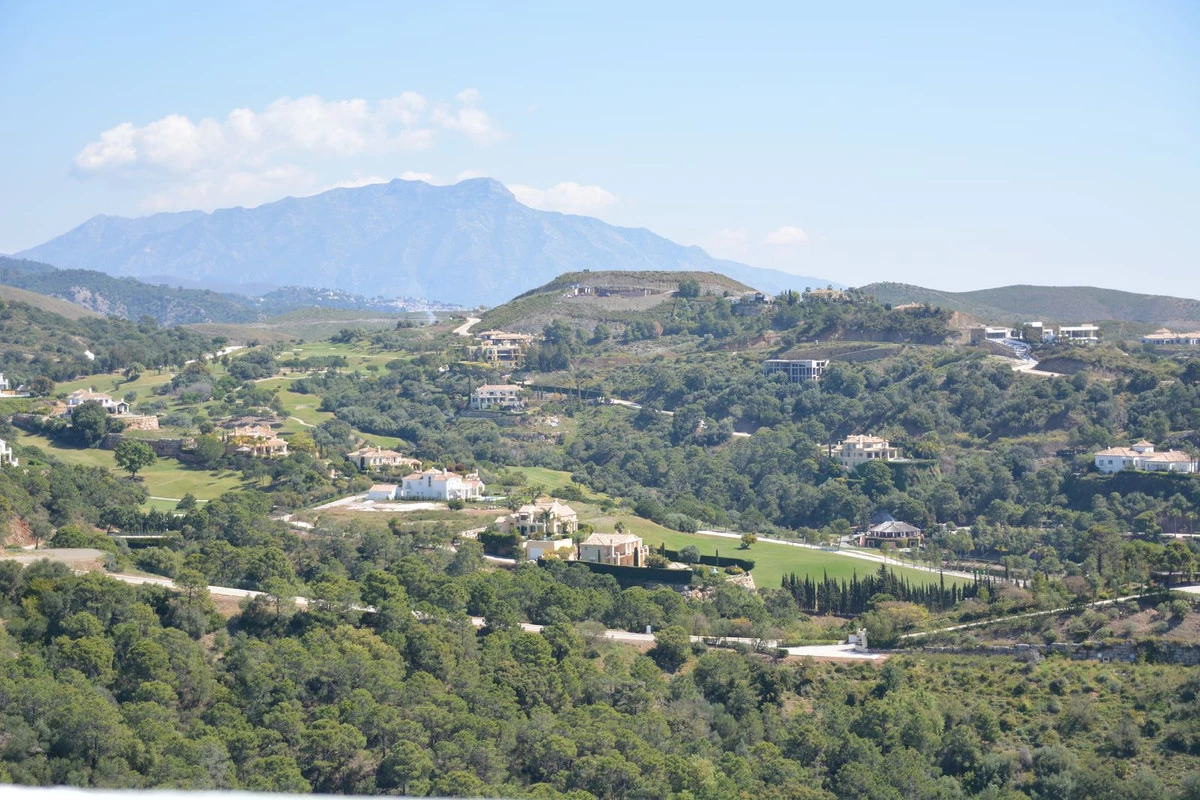 1-7980e48d732b6fc85c14b43b94d2aa54