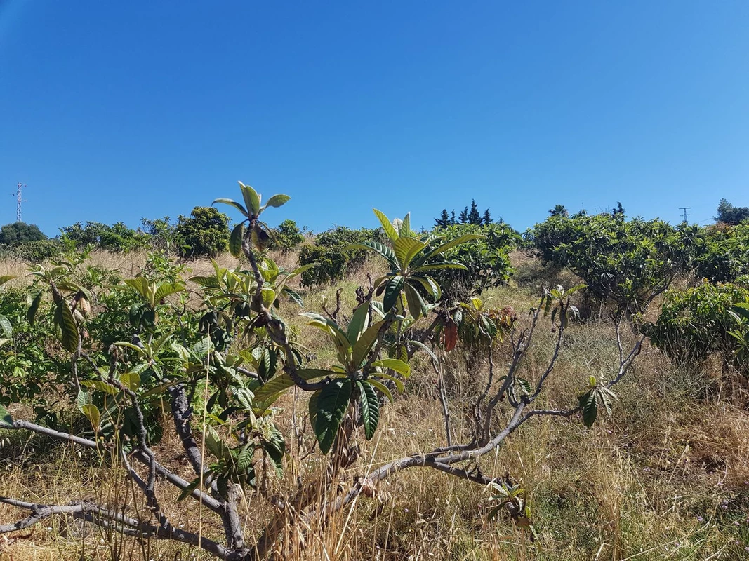 2-5bd7b9d04b45e33852eaf0ec6670150d