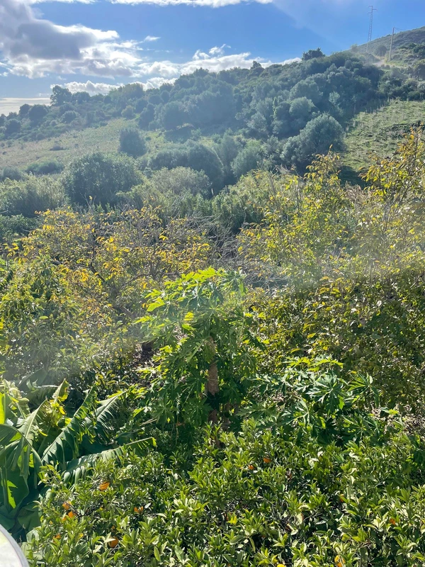 9-467d0cee5b725f3ef65f102a0c2e69c0