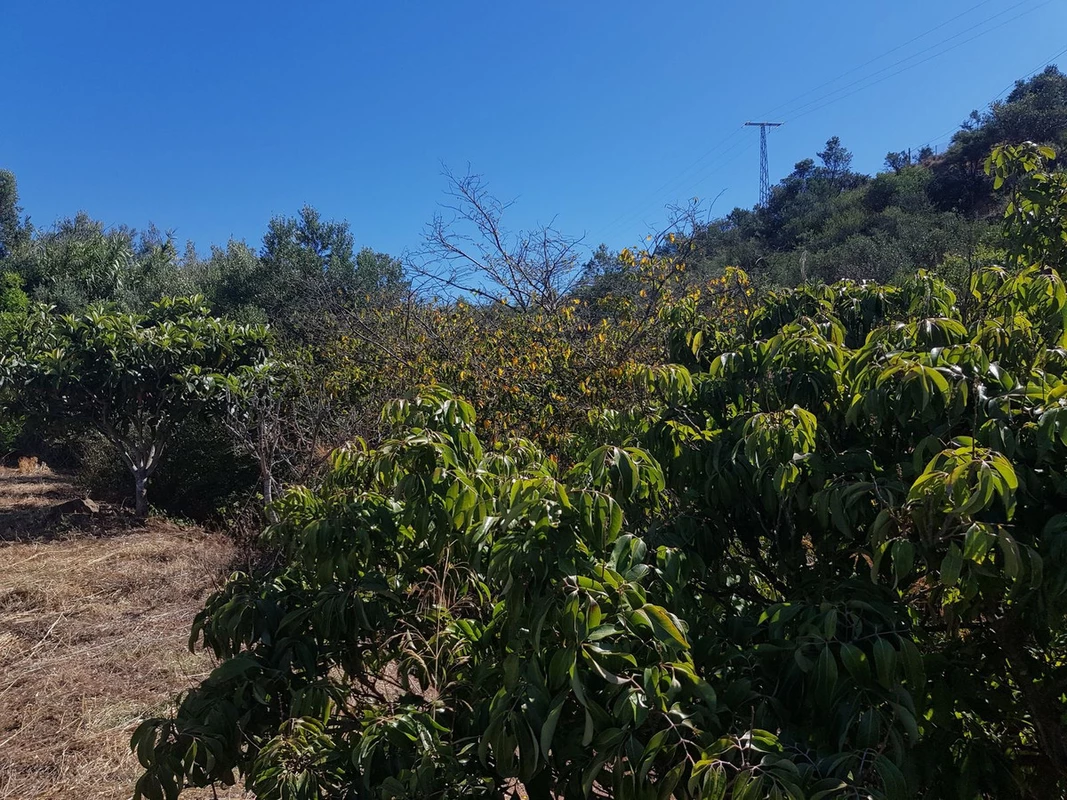 4-c23c0f86247804fa50226aecd8b0b2c8