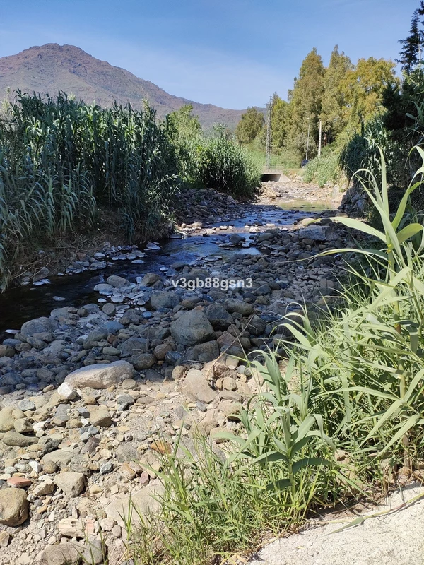 2-5bd7b9d04b45e33852eaf0ec6670150d