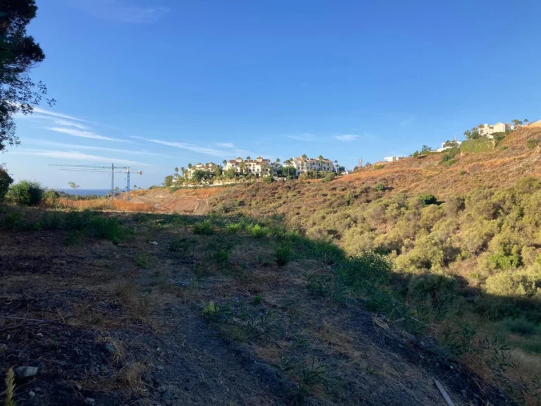 1-7980e48d732b6fc85c14b43b94d2aa54