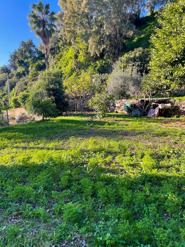 8-e64a9055bba3e77ac8aca3b893cdf826