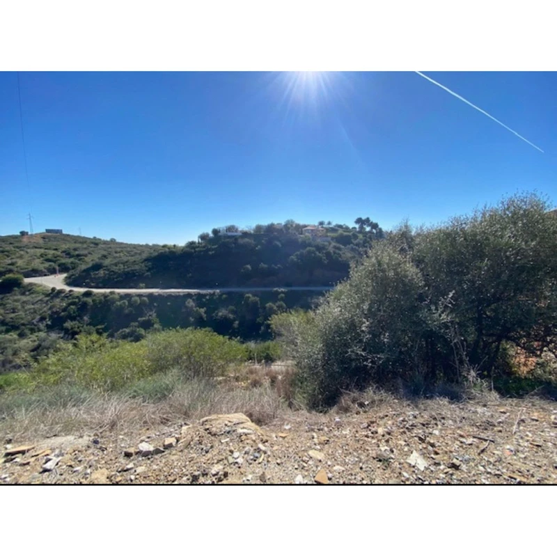 4-c23c0f86247804fa50226aecd8b0b2c8