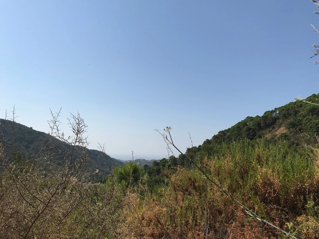 2-5bd7b9d04b45e33852eaf0ec6670150d