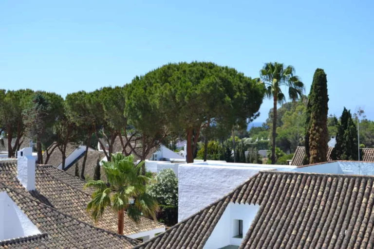 1-7980e48d732b6fc85c14b43b94d2aa54