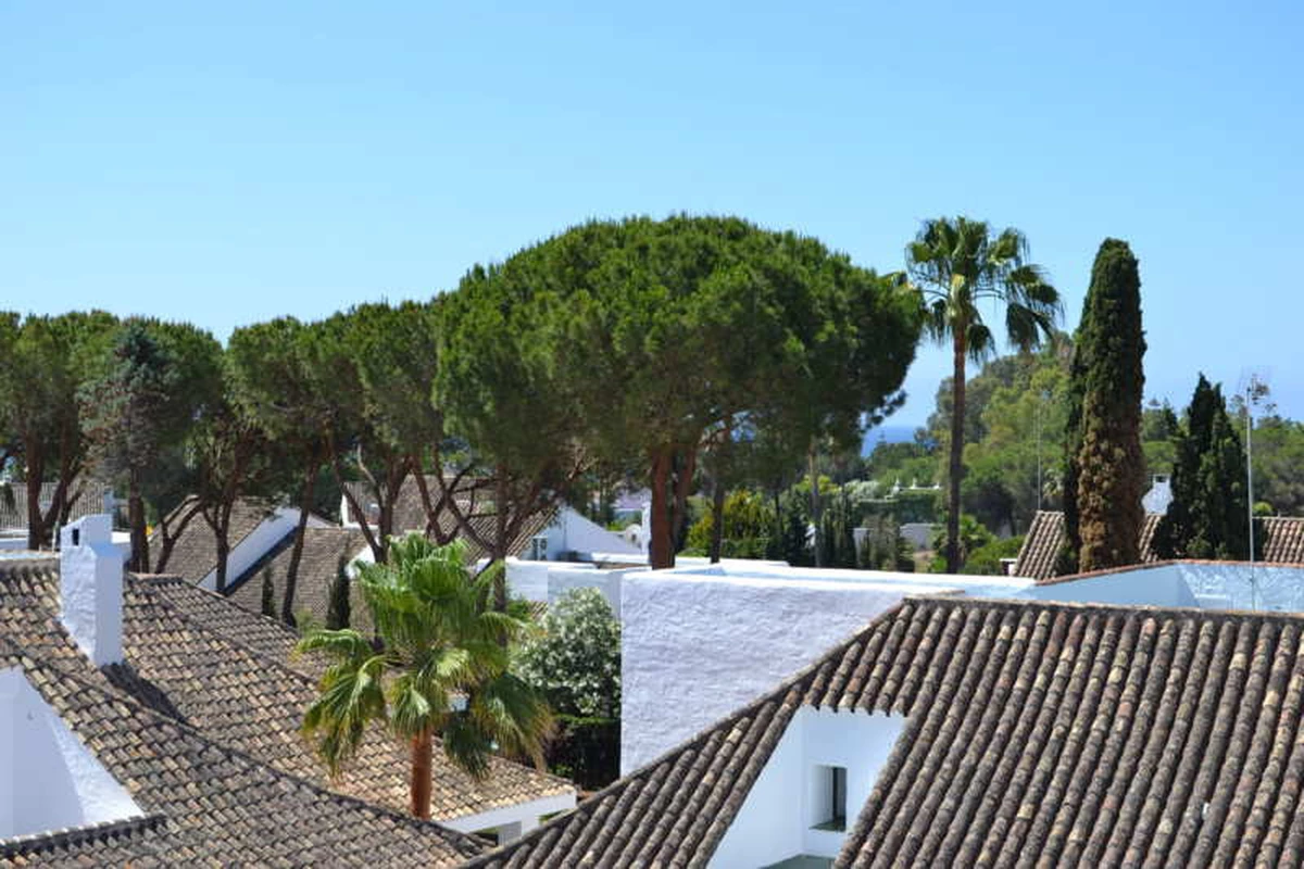 1-7980e48d732b6fc85c14b43b94d2aa54