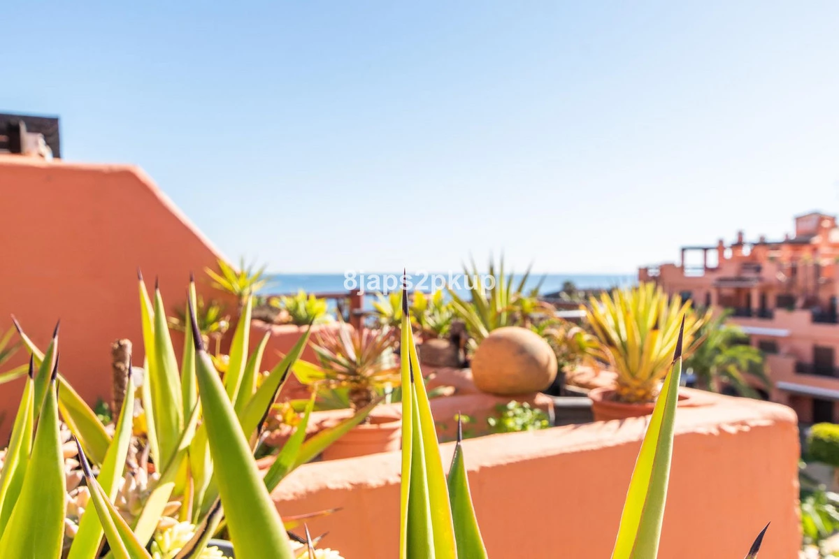 4-c23c0f86247804fa50226aecd8b0b2c8