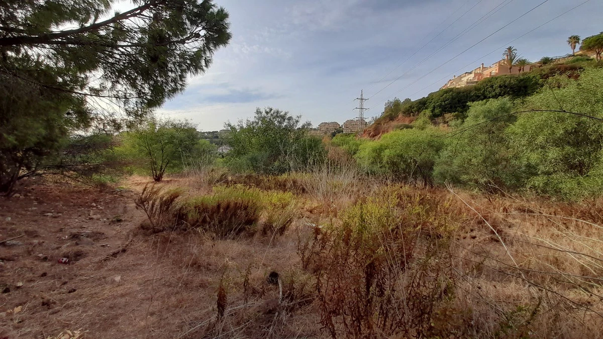 4-c23c0f86247804fa50226aecd8b0b2c8