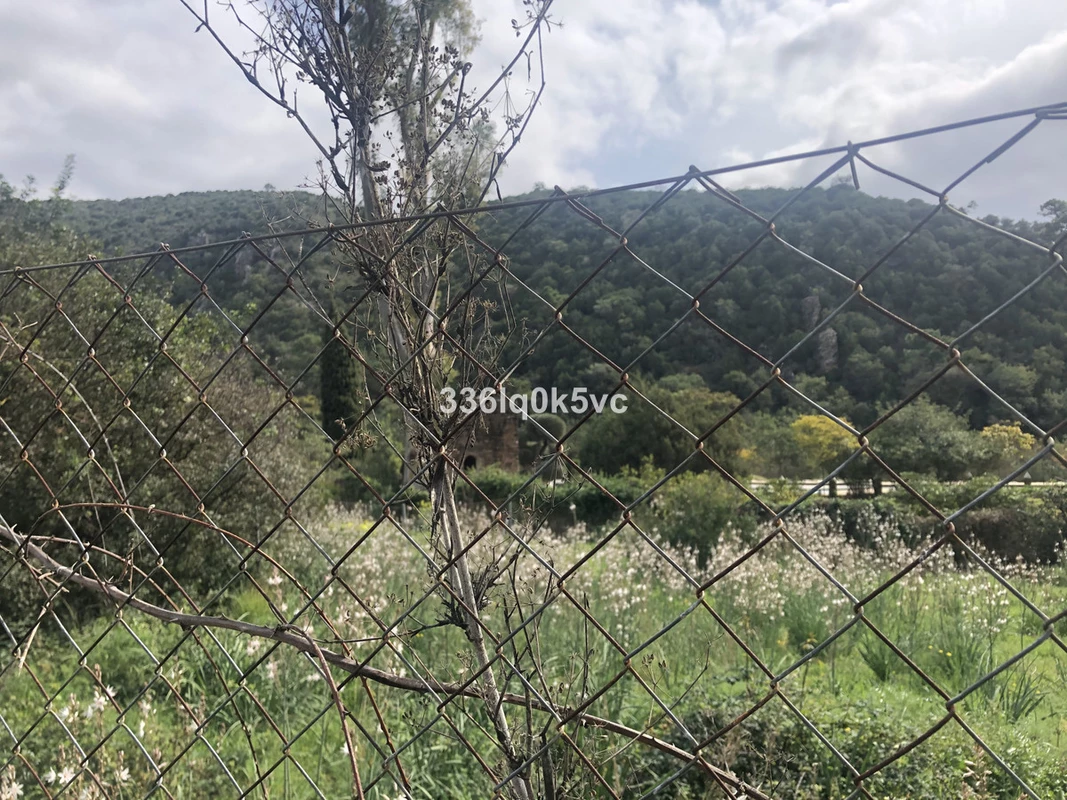 5-3595ad71cbd87be6c3643a4285ef4791