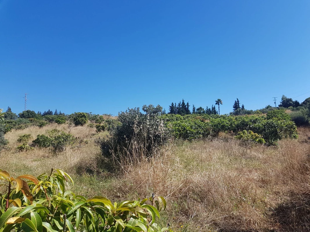 6-241328e1bcc9c0d8ce1222beb6c967a8