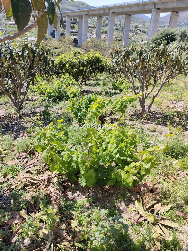 7-aa4cc561180b369757c0bb4af9886cd3