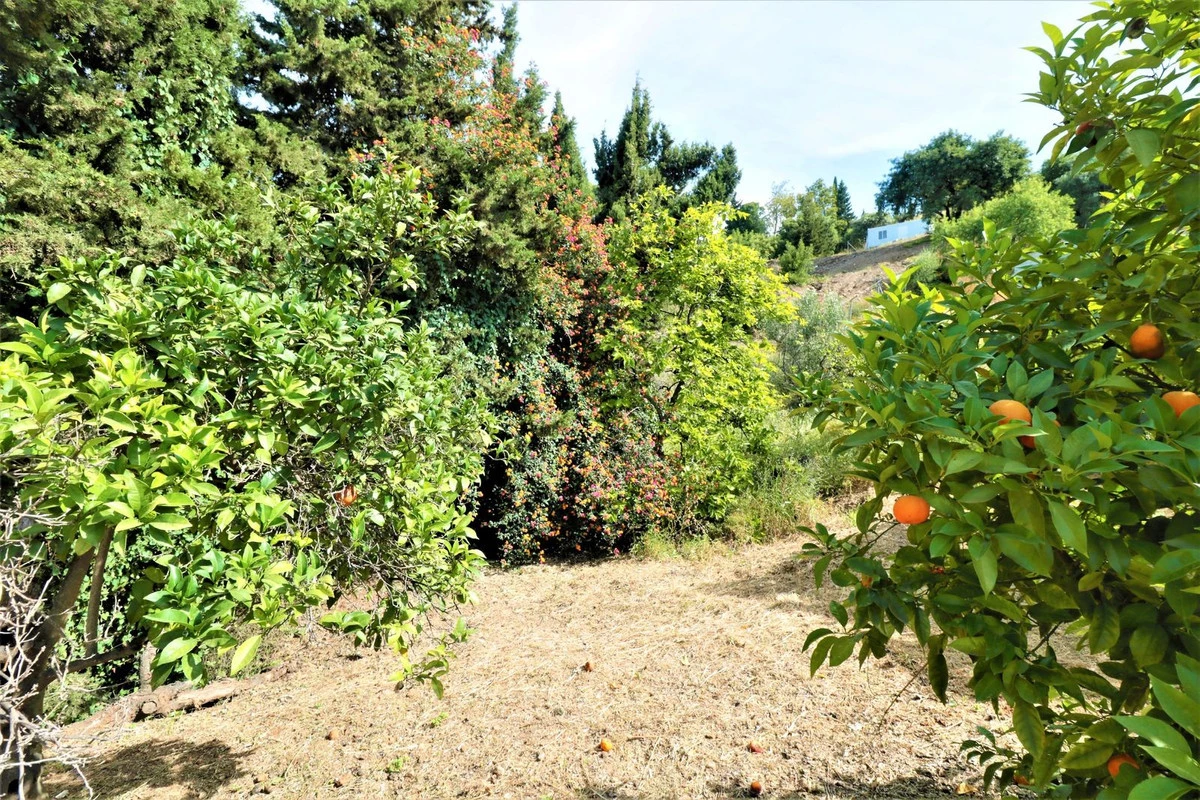 9-467d0cee5b725f3ef65f102a0c2e69c0