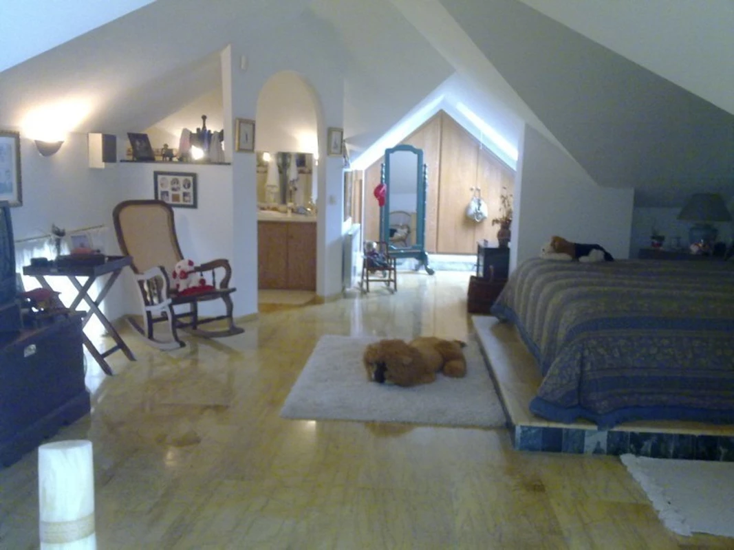 7-aa4cc561180b369757c0bb4af9886cd3