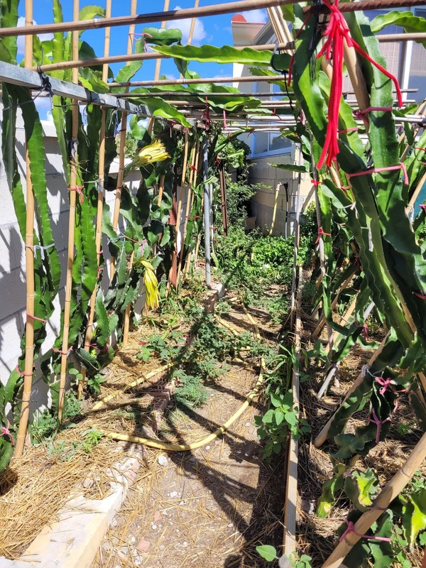 5-3595ad71cbd87be6c3643a4285ef4791