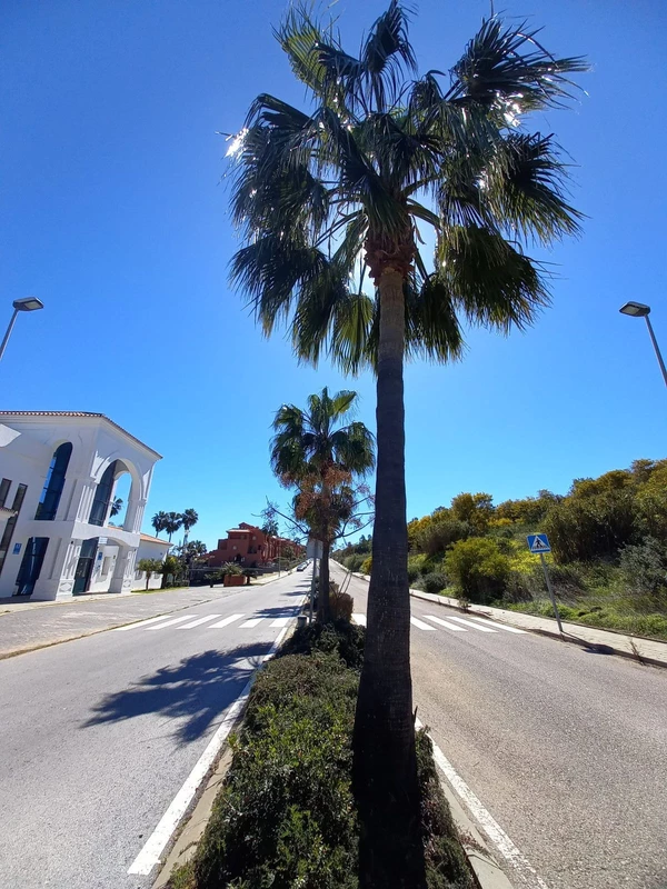 3-e898b2bb2a2fdfd06d2c39894dce8316