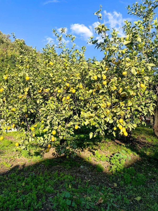 6-241328e1bcc9c0d8ce1222beb6c967a8