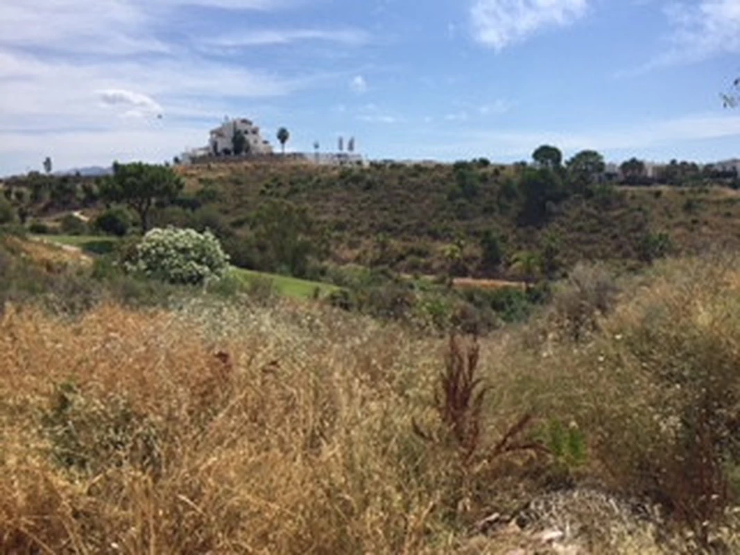 3-e898b2bb2a2fdfd06d2c39894dce8316